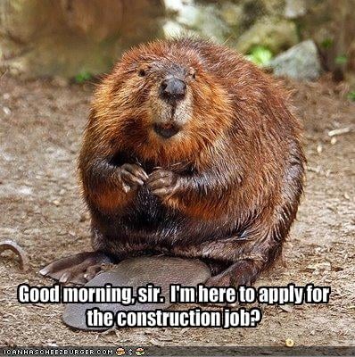 The ideal candidate for the job!
